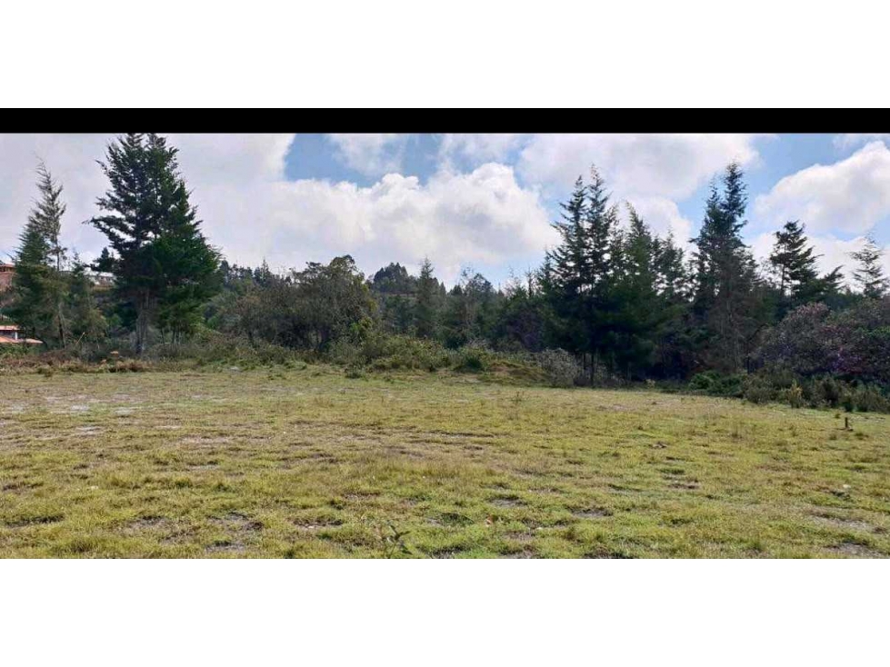 Se vende lote industrial en rionegro cerca del aeropuerto