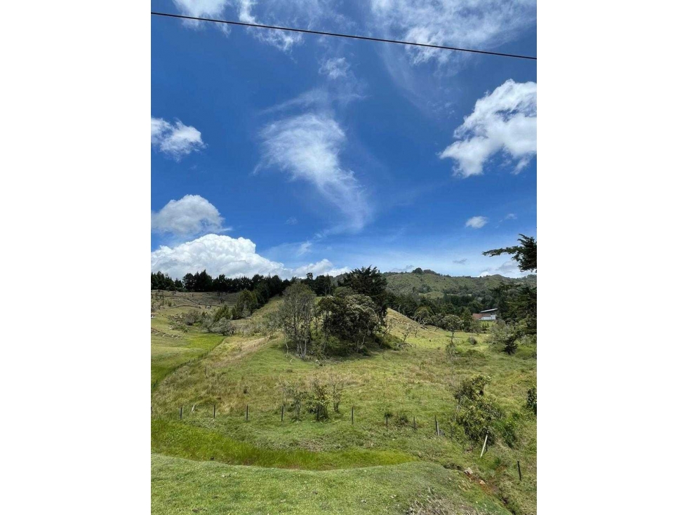 Se vende lote industrial en rionegro via al aeropuerto — foto 4