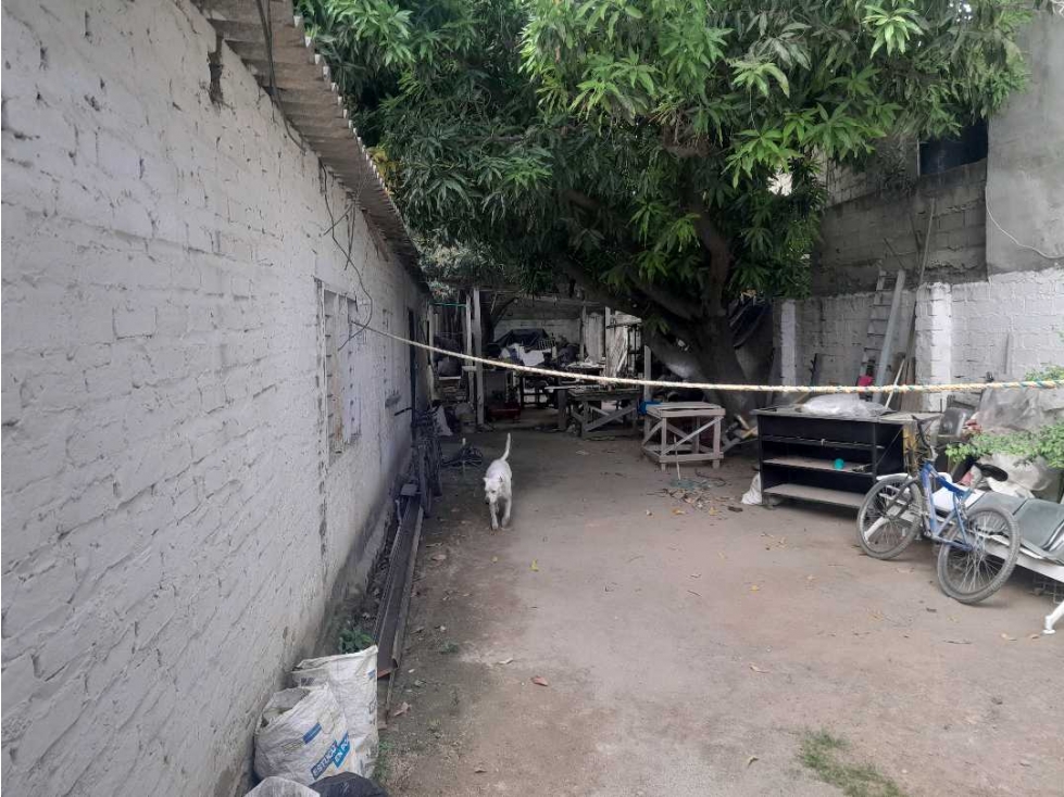 Se vende lote medianero de 363m2, 11x33, villa sara — foto 4
