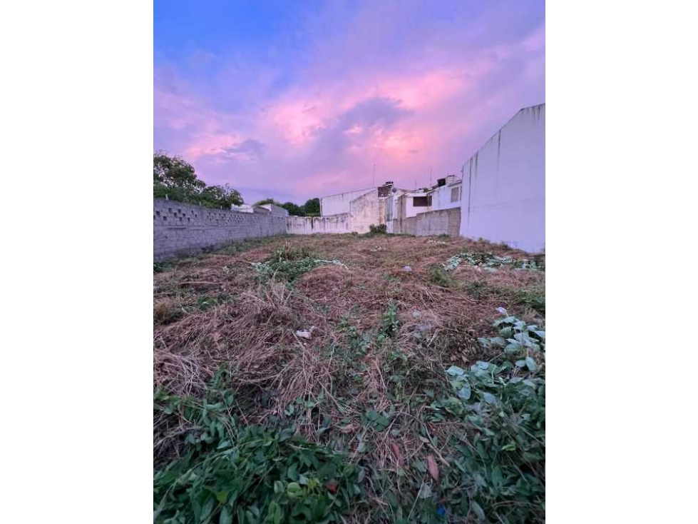 Se vende lote medianero de 525m2, medidas de 15x35, el jardin - 6