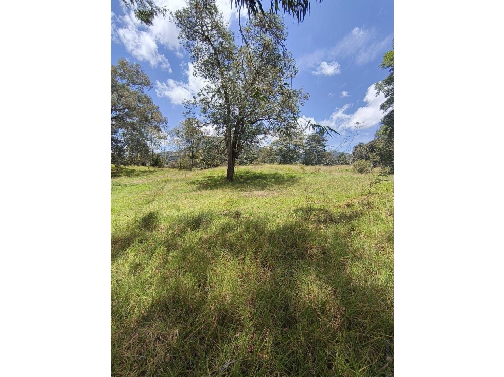 SE VENDE LOTE MUY BONITO EN PARCELACION EN LA CEJA,ANT.CERCA A TODO. — foto 2