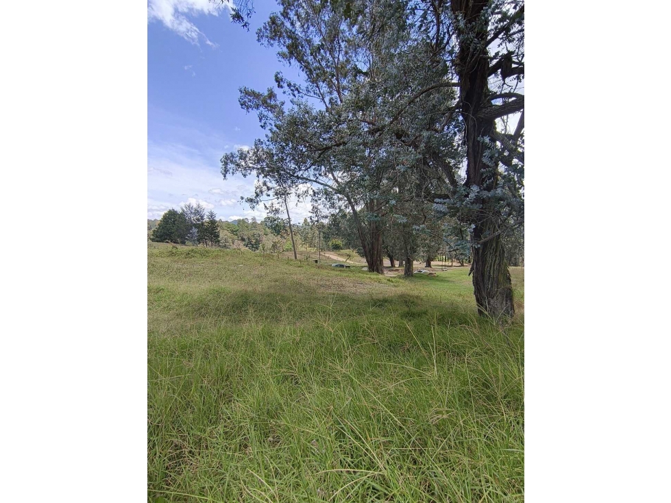 SE VENDE LOTE MUY BONITO EN PARCELACION EN LA CEJA,ANT.CERCA A TODO. — foto 3