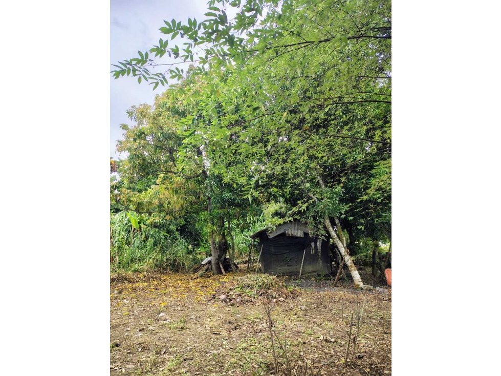 ¡SE VENDE LOTE O CASA FINCA EN LOS PERICOS! — foto 3