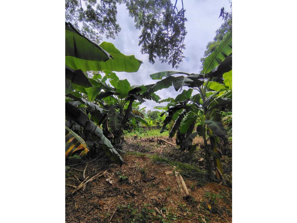¡SE VENDE LOTE O CASA FINCA EN LOS PERICOS! — foto 4