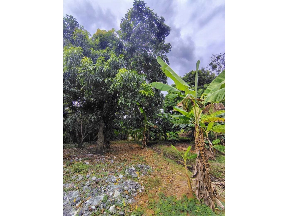 ¡SE VENDE LOTE O CASA FINCA EN LOS PERICOS! — foto 6