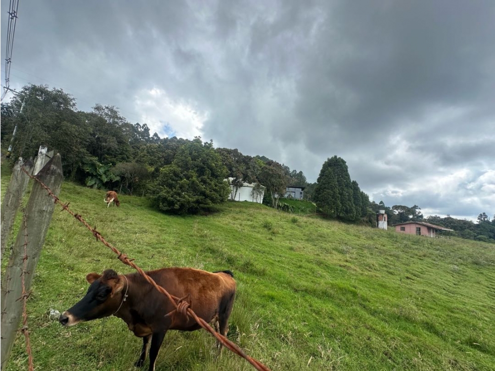 SE VENDE LOTE PARA DESARROLAR EN LA VEREDA PANTANILLO. ENVIGADO. — foto 3