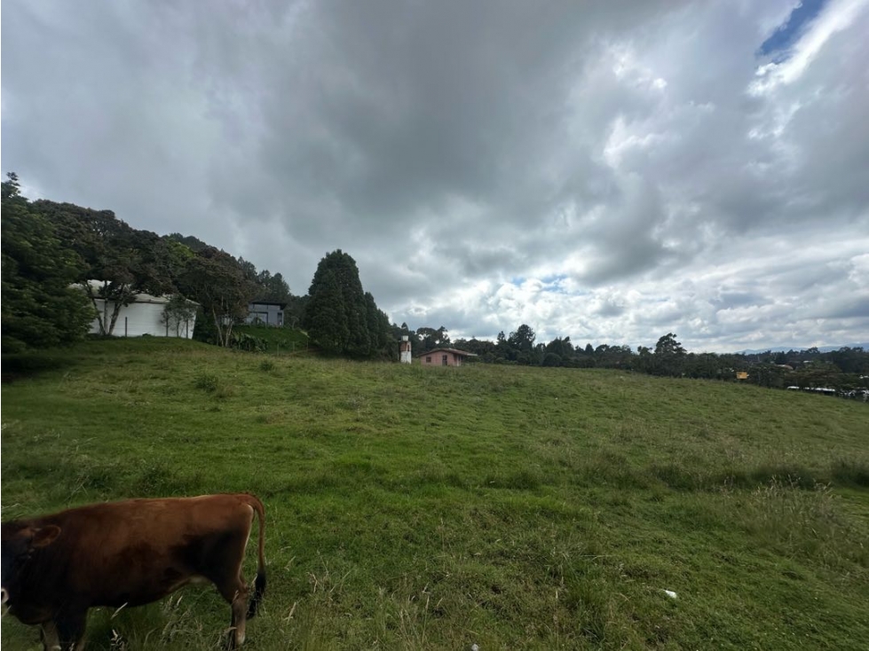 SE VENDE LOTE PARA DESARROLAR EN LA VEREDA PANTANILLO. ENVIGADO. — foto 5