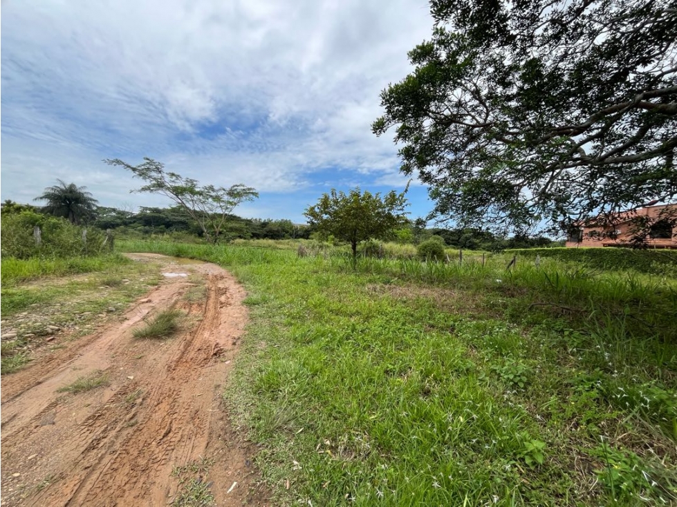 SE VENDE LOTE POTENCIAL CERCA AL HOSPITAL HORO YOPAL CASANARE — foto 5