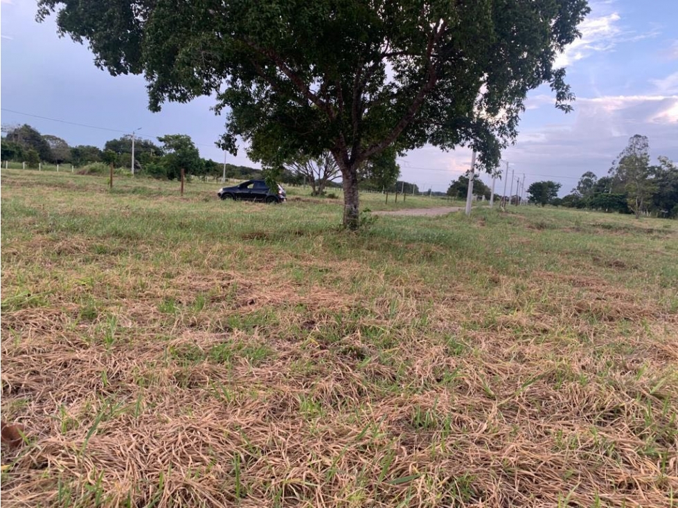SE VENDE LOTE PROYECTO PALMAS DE MALLORCA, YOPAL — foto 3