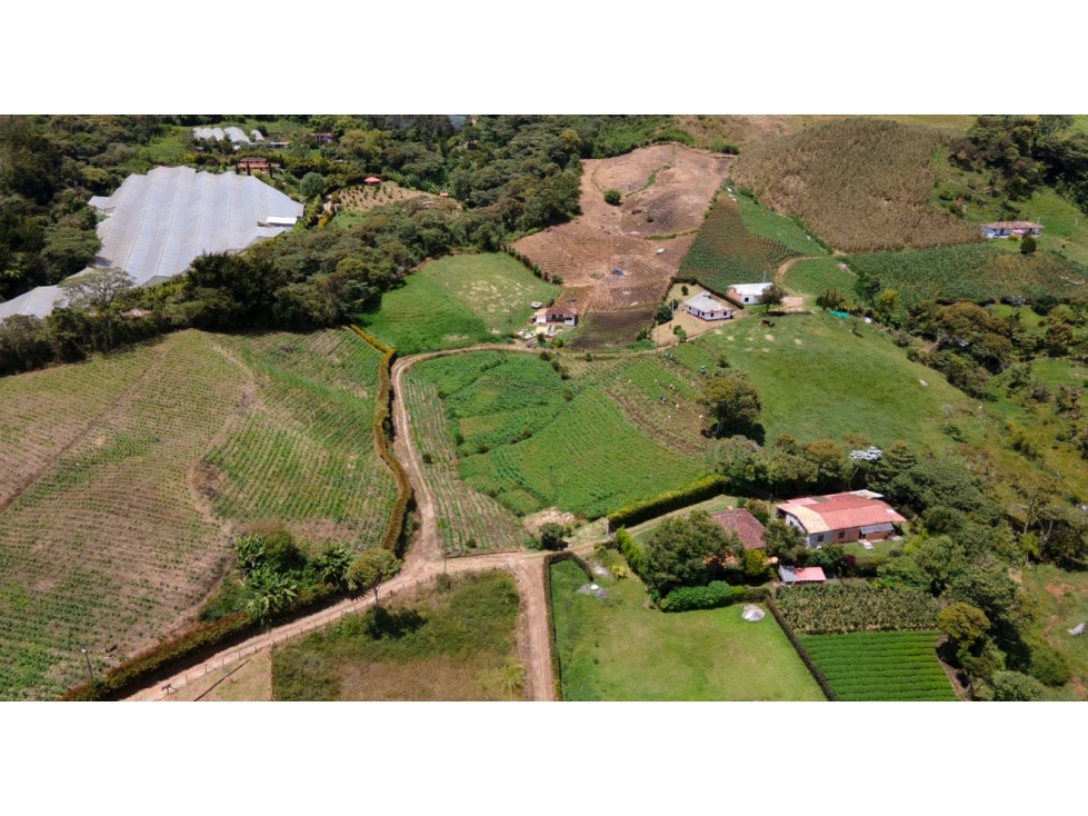 Se vende o cambia lote rural de 5.245 m2 en Viboral, El Carmen — foto 2