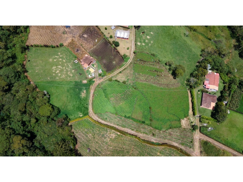 Se vende o cambia lote rural de 5.245 m2 en Viboral, El Carmen — foto 4