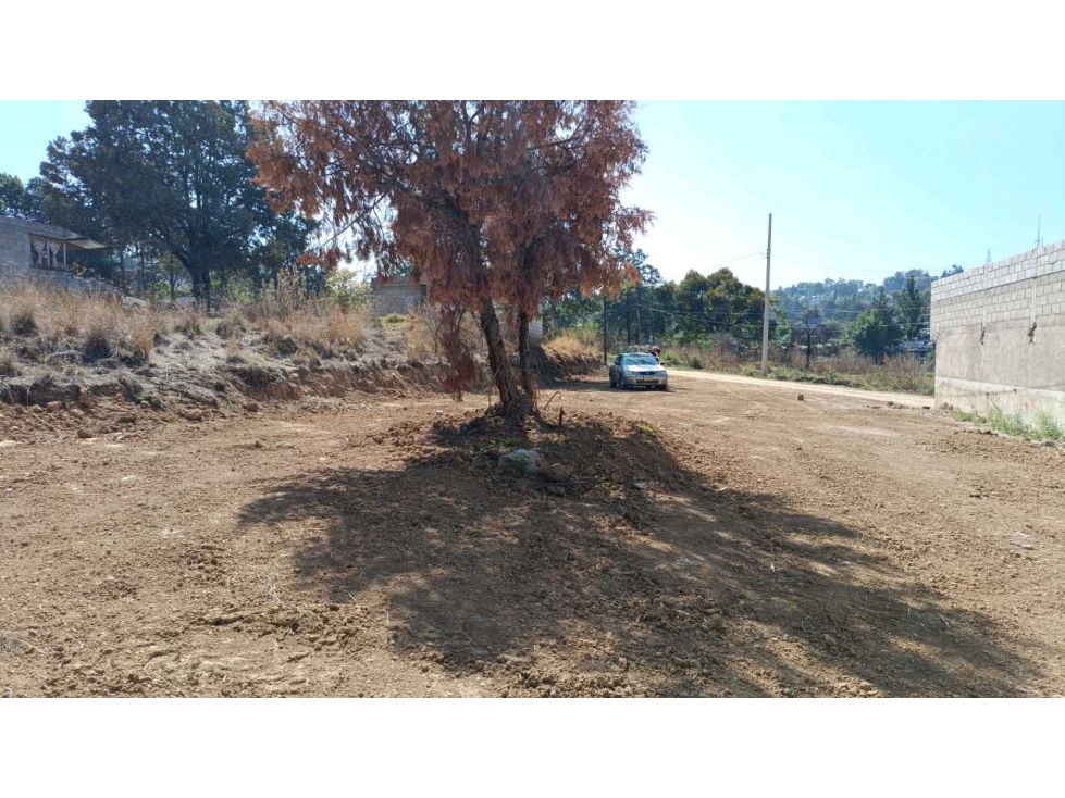Se vende lote San Lucas cuautelupan - 5