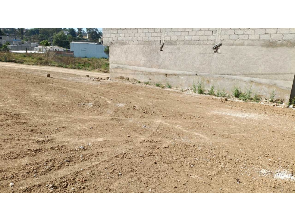 Se vende lote San Lucas cuautelupan - 4