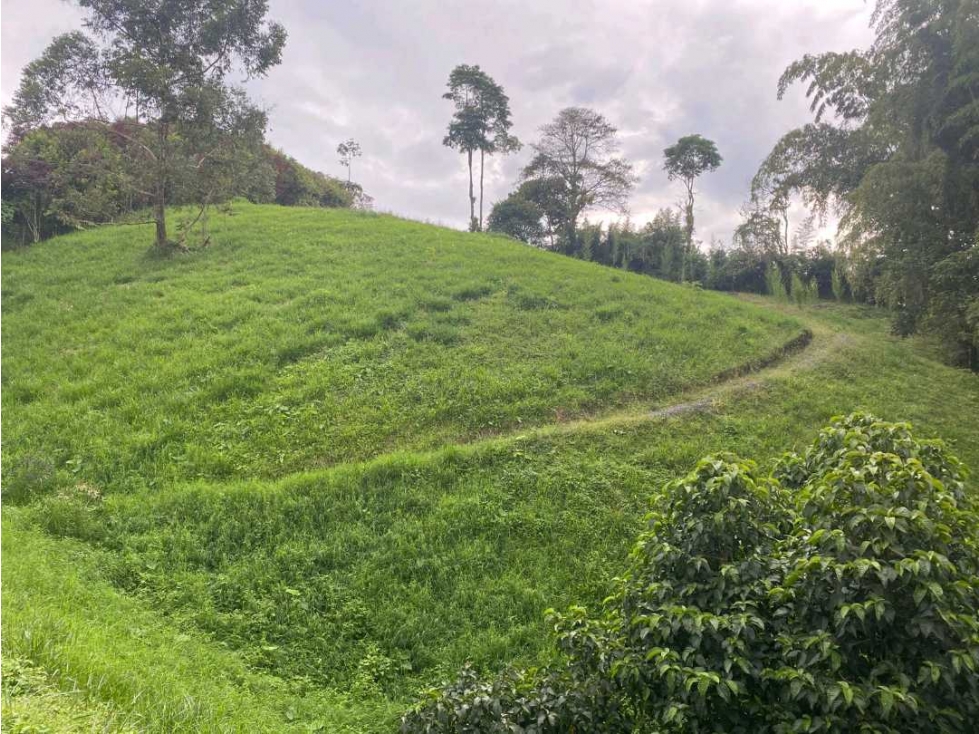se vende lote sector Tribunas en Pereira
