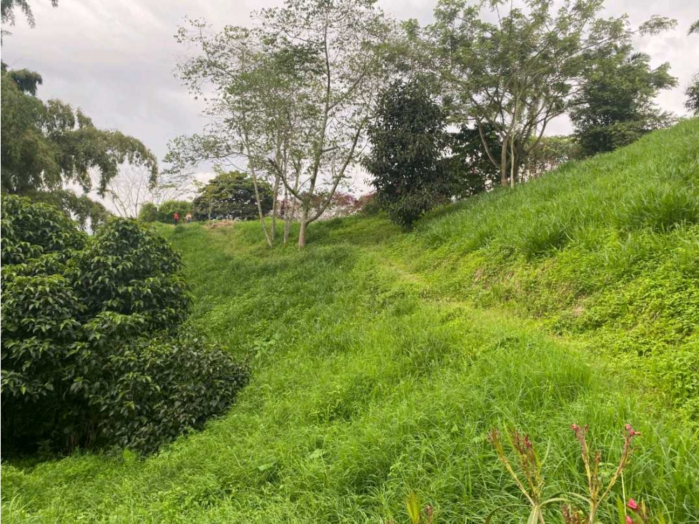 se vende lote sector Tribunas en Pereira — foto 3