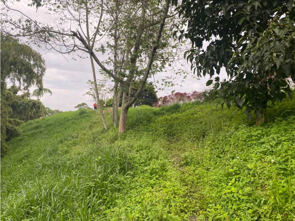 se vende lote sector Tribunas en Pereira — foto 4