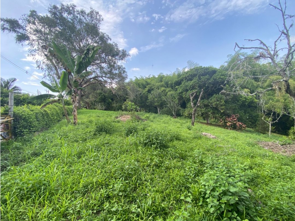 SE VENDE LOTE SUBURBANO PEREIRA, CERRITOS — foto 3