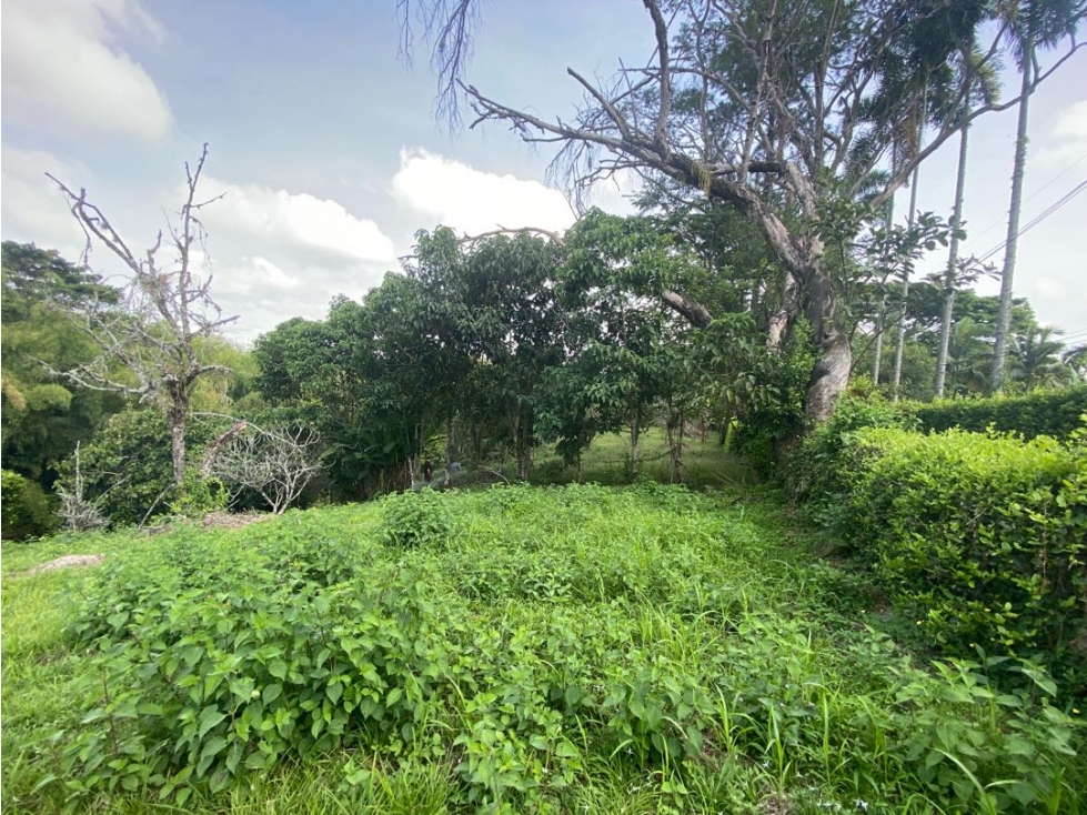 SE VENDE LOTE SUBURBANO PEREIRA, CERRITOS — foto 5