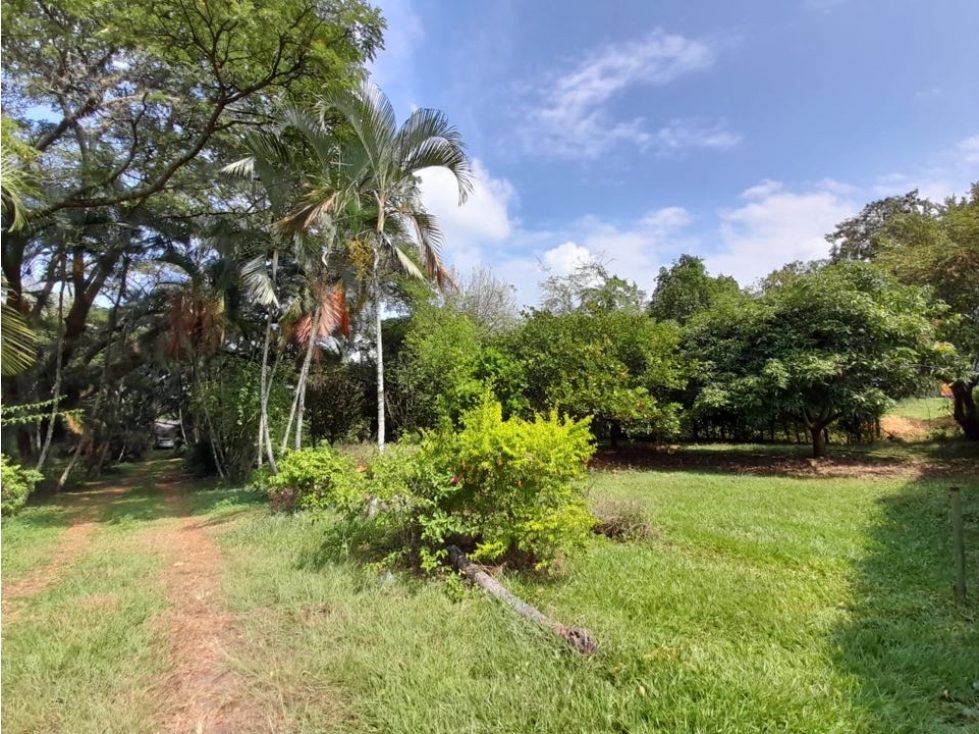 Lote terreno de 30.000 m2 en venta Tienda Nueva Tablones Palmira Valle - 5