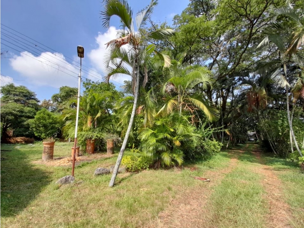 Lote terreno de 30.000 m2 en venta Tienda Nueva Tablones Palmira Valle - 6