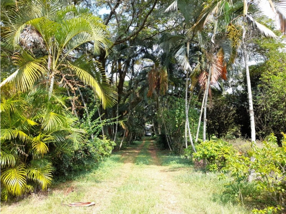 Terreno de 30.000 m² en venta | Tienda Nueva vía Tablones - Palmira — foto 4