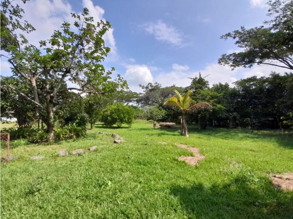 Terreno de 30.000 m² en venta | Tienda Nueva vía Tablones - Palmira — foto 5