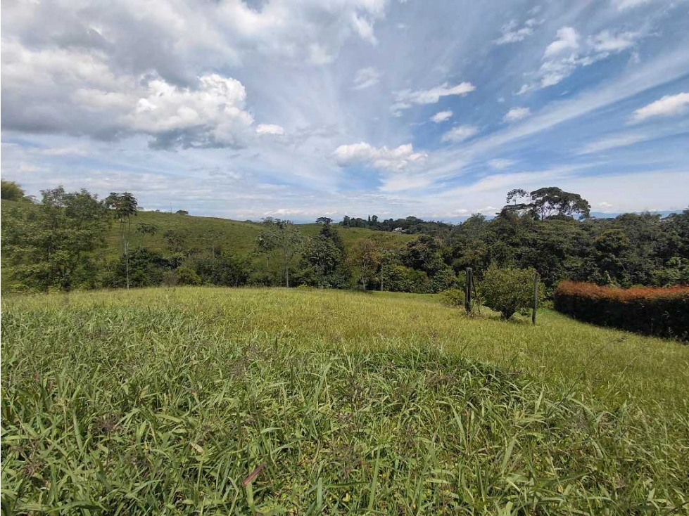Se vende Lote terreno, area 2.483 mt2 pereira risaralda LL10074805 — foto 4