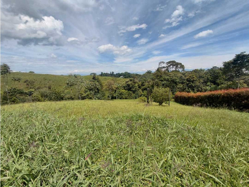 Se vende Lote terreno, area 2.483 mt2 pereira risaralda LL10074805 — foto 3