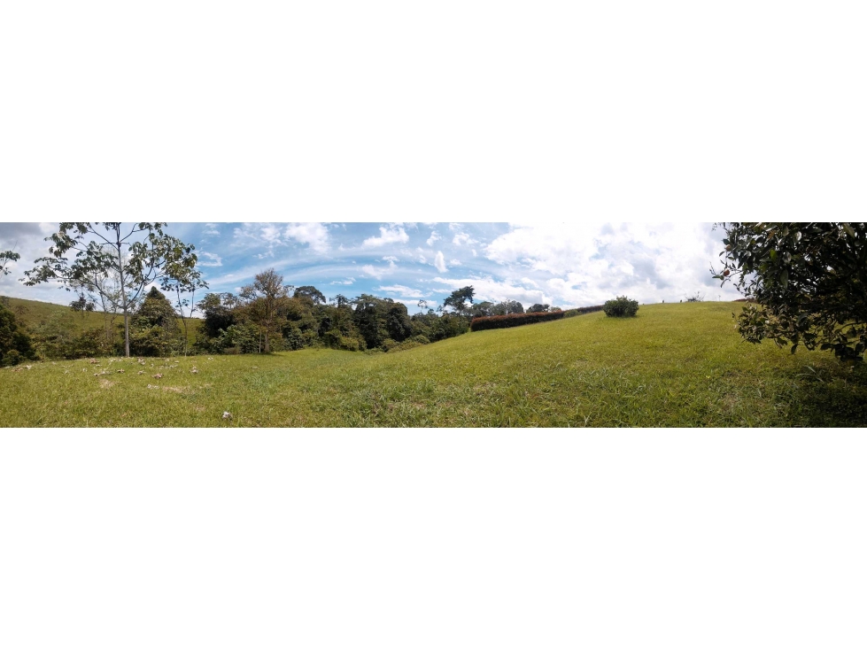 Se vende Lote terreno, area 2.483 mt2 pereira risaralda LL10074805 — foto 2