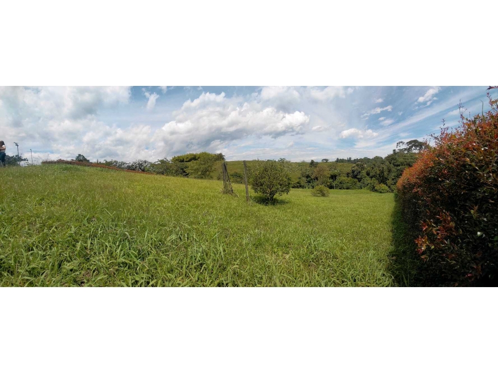 Se vende Lote terreno, area 2.483 mt2 pereira risaralda LL10074805