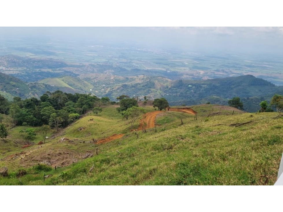 Se venden lotes desde 2.359 m2 parcelación abierta La Buitrera Palmira - 1