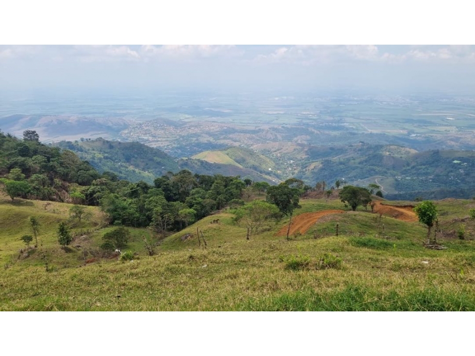 Se venden lotes desde 2.359 m2 parcelación abierta La Buitrera Palmira - 2