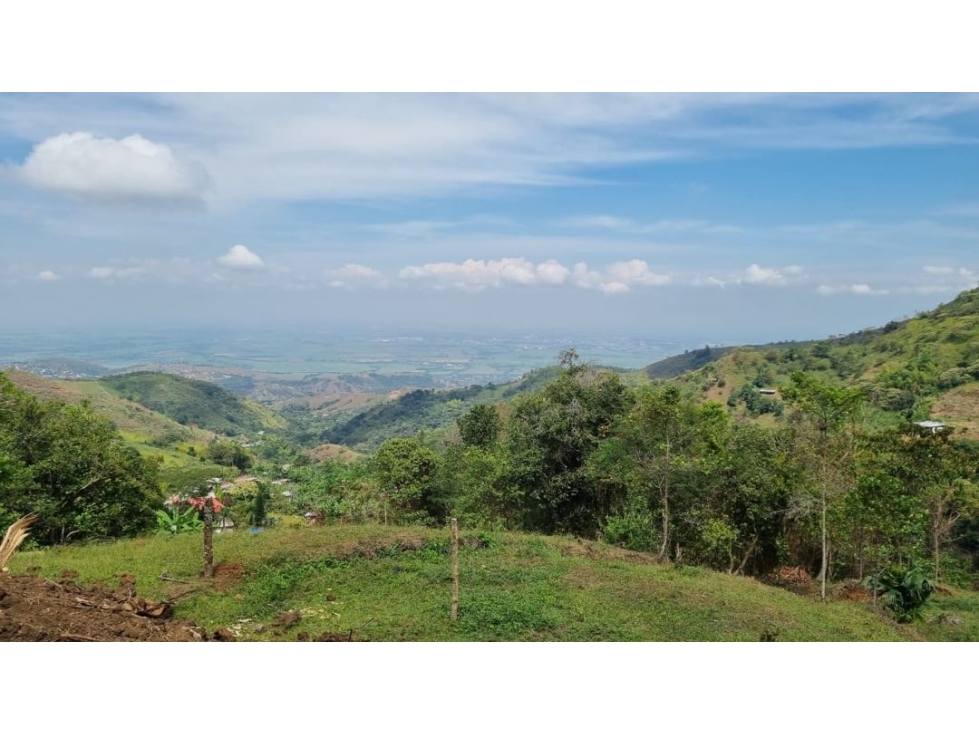 Se venden lotes desde 2.359 m2 parcelación abierta La Buitrera Palmira - 3
