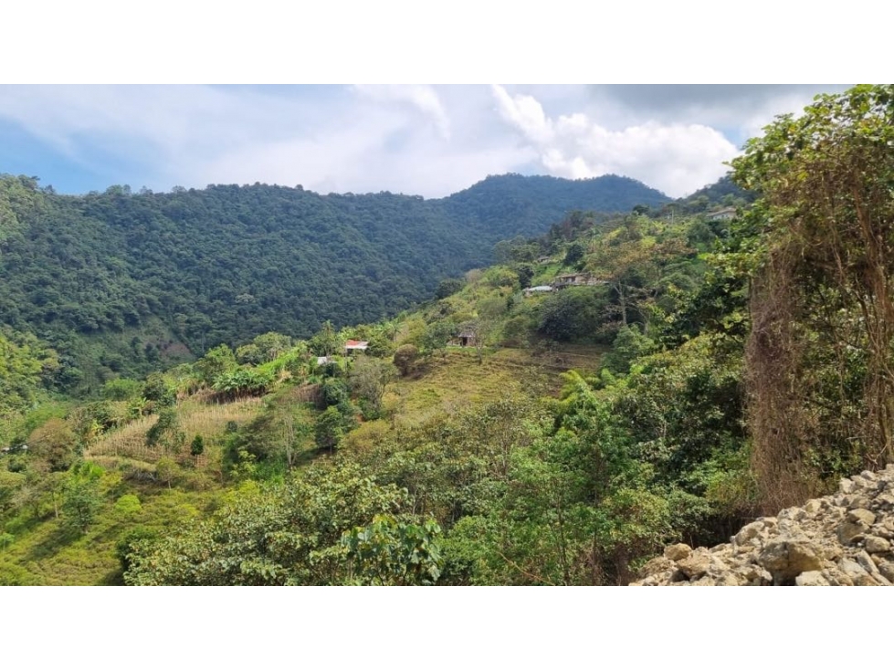 Se venden lotes desde 2.359 m2 parcelación abierta La Buitrera Palmira - 4