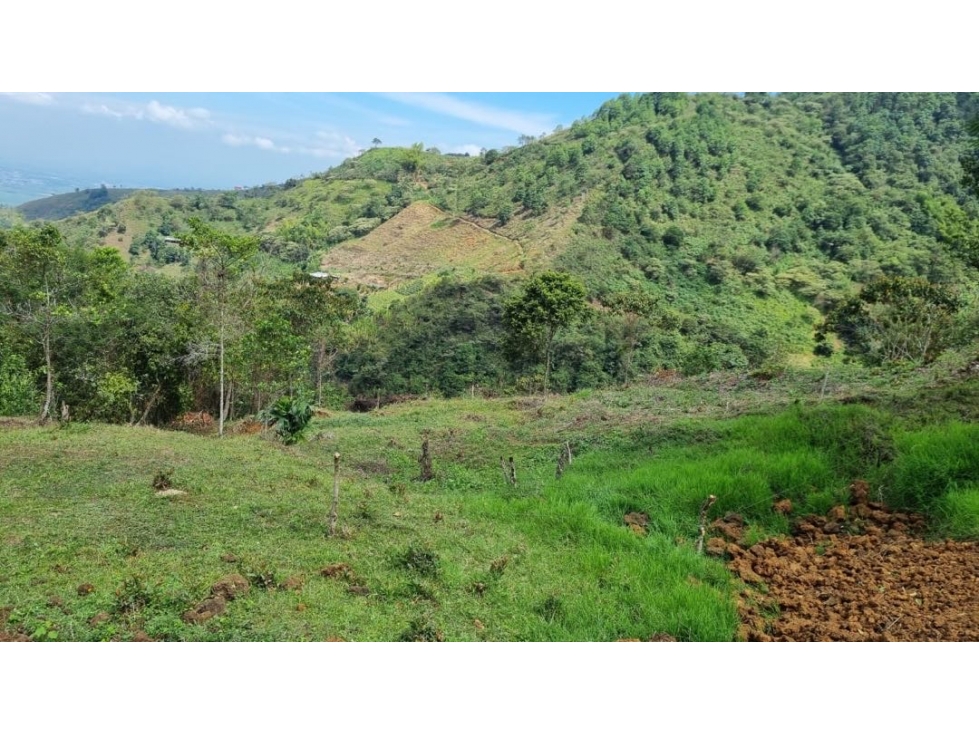 Se venden lotes desde 2.359 m2 parcelación abierta La Buitrera Palmira - 6