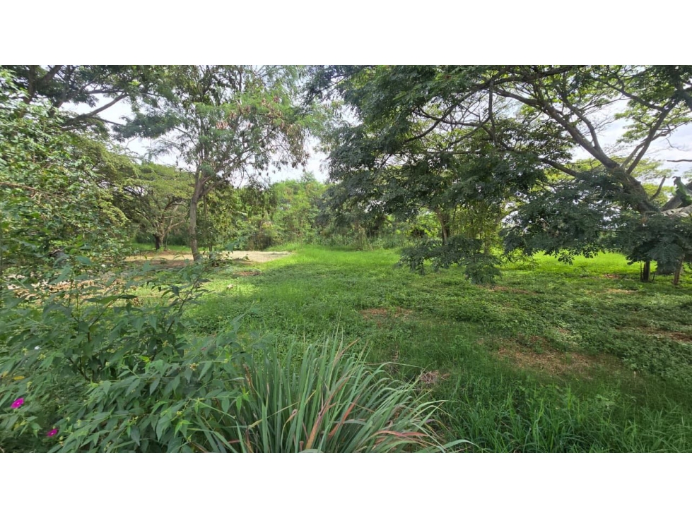SE VENDE LOTE URBANIZADO EN EL CARMELO-CANDELARIA 473. - 1