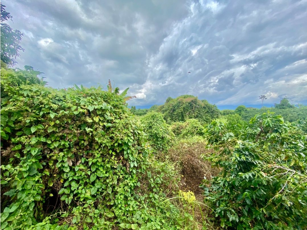 SE VENDE LOTE URBANO VÍA TEBAIDA
