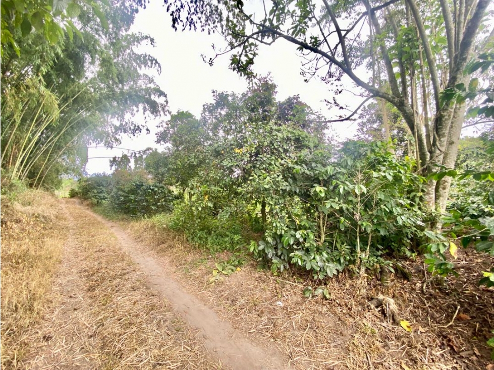 SE VENDE LOTE URBANO VÍA TEBAIDA — foto 2