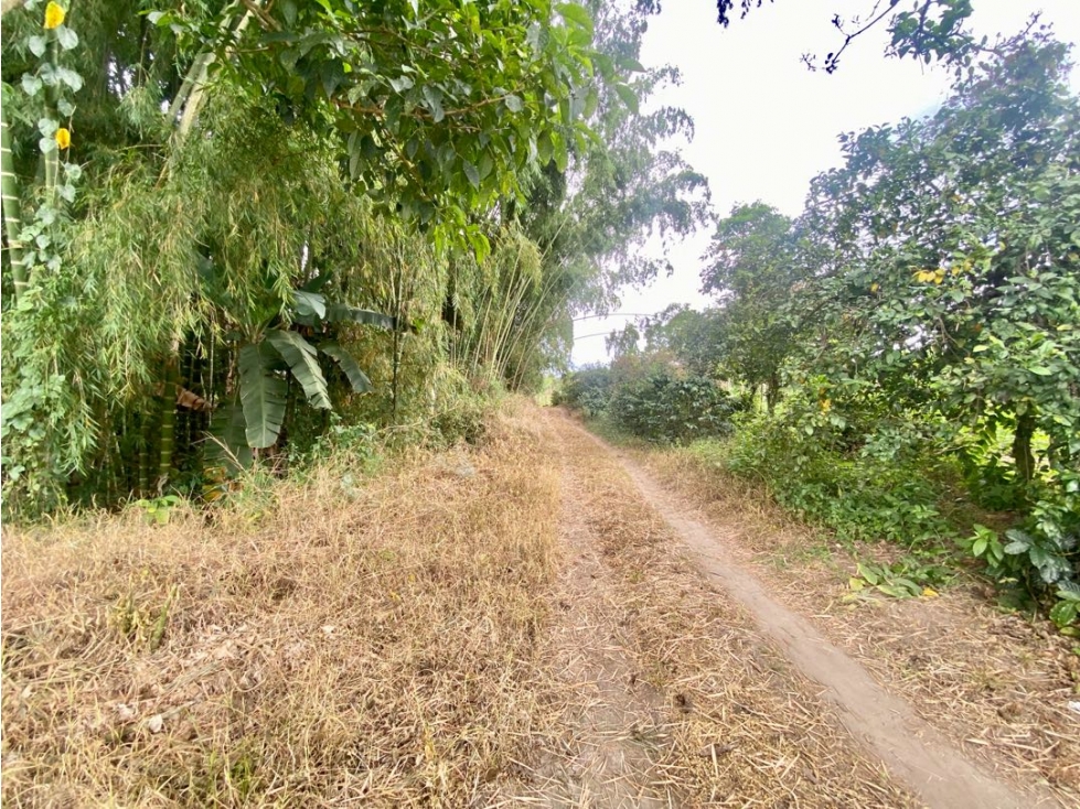 SE VENDE LOTE URBANO VÍA TEBAIDA — foto 4