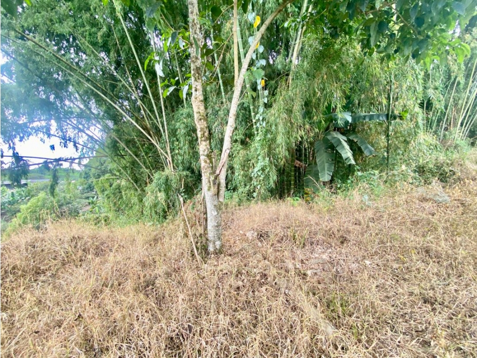 SE VENDE LOTE URBANO VÍA TEBAIDA — foto 5