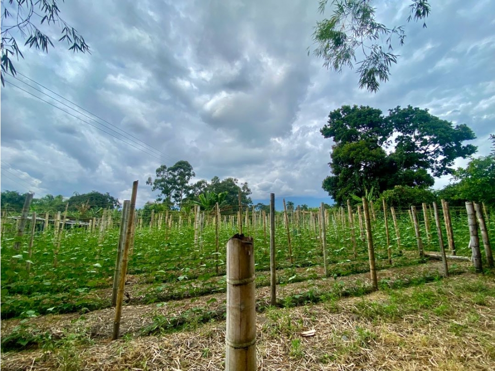 SE VENDE LOTE URBANO VÍA TEBAIDA — foto 6