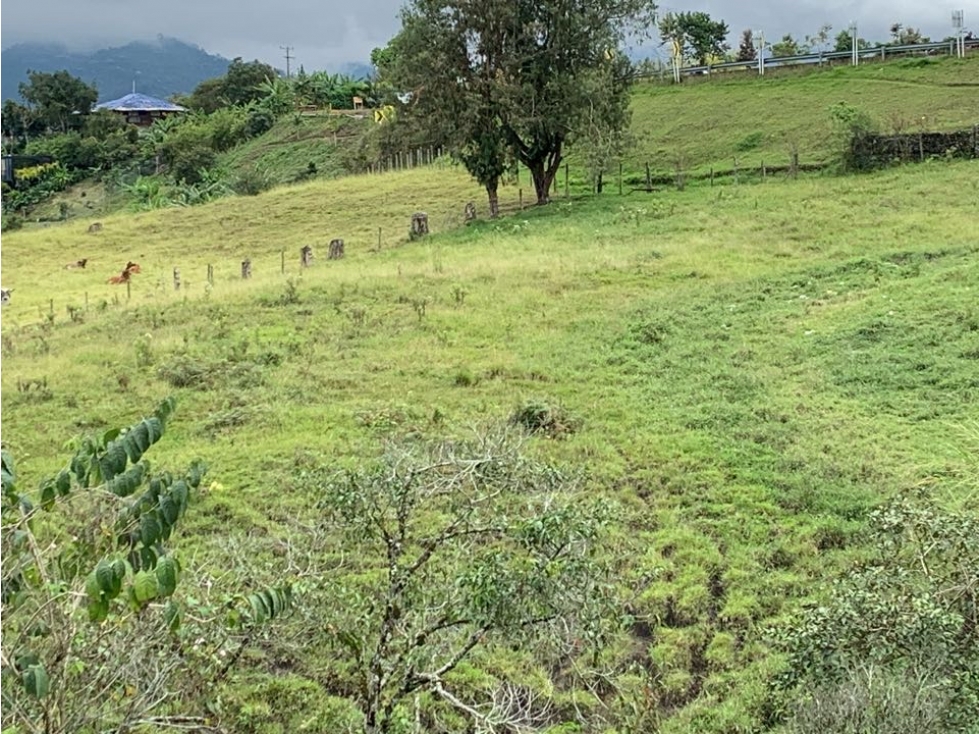SE VENDE LOTE VÍA A CIRCACIA - 2