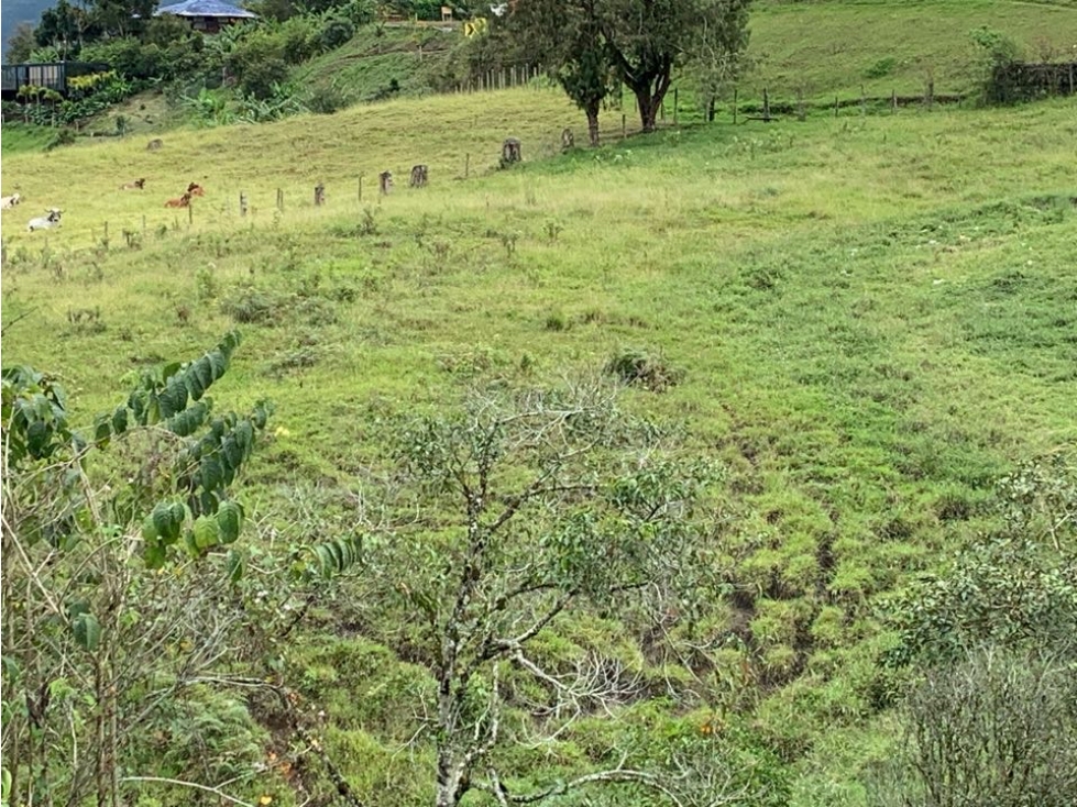 SE VENDE LOTE VÍA A CIRCACIA - 3