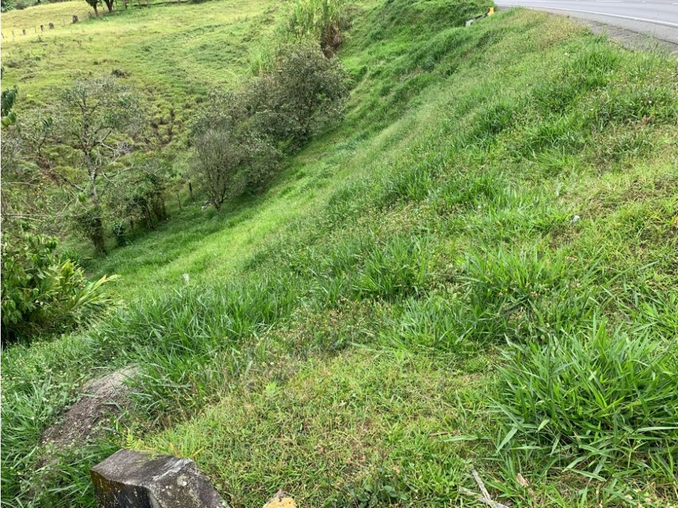 SE VENDE LOTE VÍA A CIRCACIA - 4