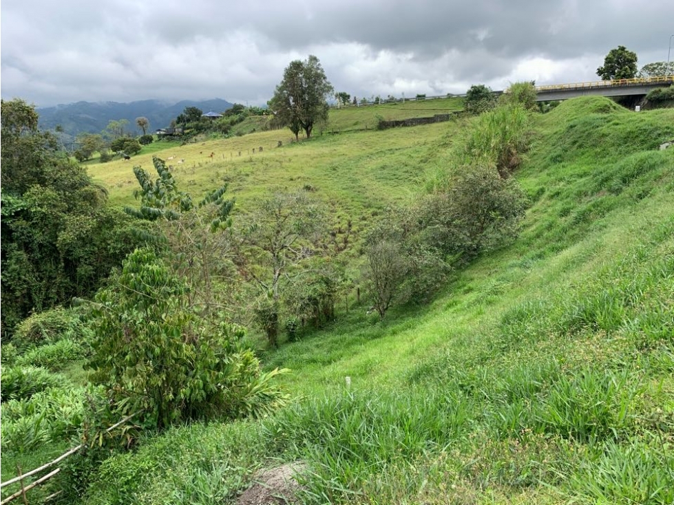 SE VENDE LOTE VÍA A CIRCACIA - 5