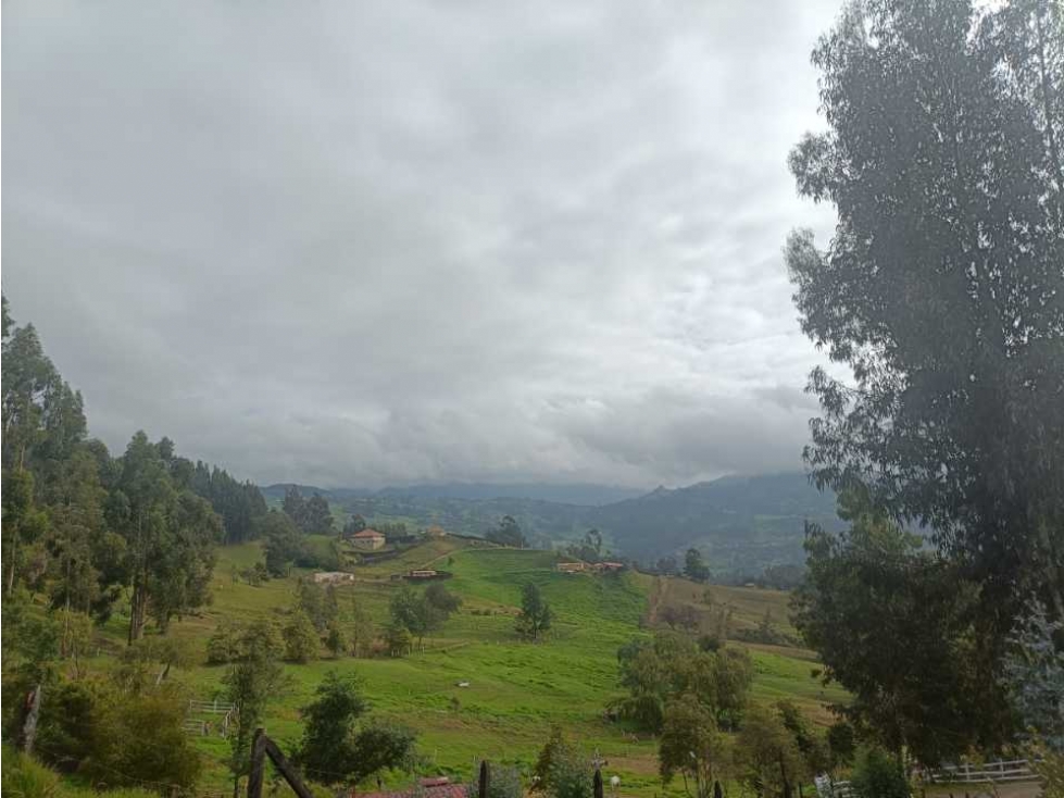 Se vende lote vereda el Durazno Cogüa C/marca - 2