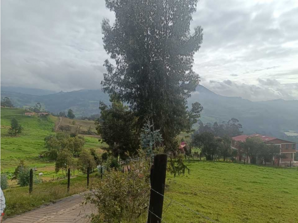 Se vende lote vereda el Durazno Cogüa C/marca - 3