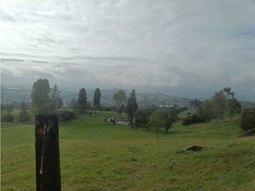 Se vende lote vereda el Durazno Cogüa C/marca - 4