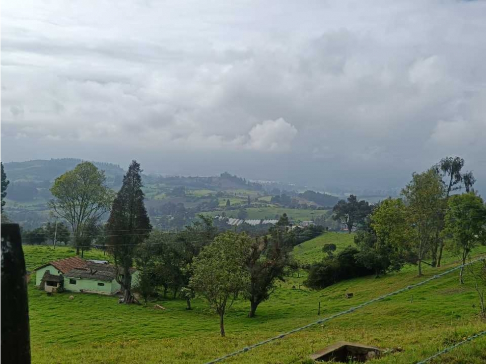 Se vende lote vereda el Durazno Cogüa C/marca - 6