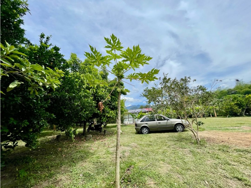 SE VENDE LOTE VIA AL VALLE - SECTOR BARRAGÁN QUINDÍO - 6